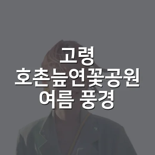 고령 호촌늪연꽃공원 여름 풍경 산책