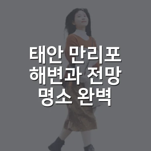 태안 만리포 해변과 전망 명소 완벽 코스