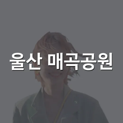 울산 매곡공원, 도심 속 자연과 분수의 조화