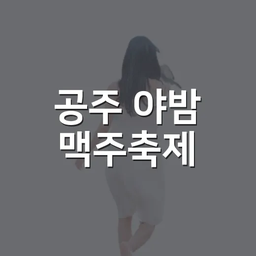 공주 야밤 맥주축제, 여름밤의 특별한 즐거움