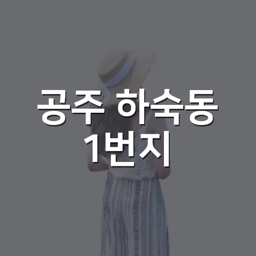 공주 하숙동 1번지, 3일간의 시간여행 축제