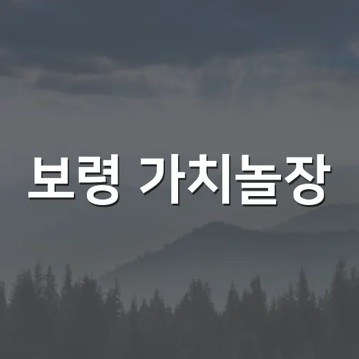보령 가치놀장, 여름밤을 물들이다