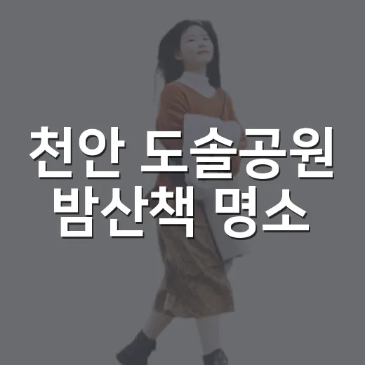 천안 도솔공원 밤산책 명소