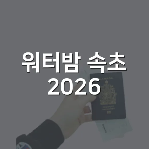 워터밤 속초 2026, 밤까지 즐기는 축제의 열기