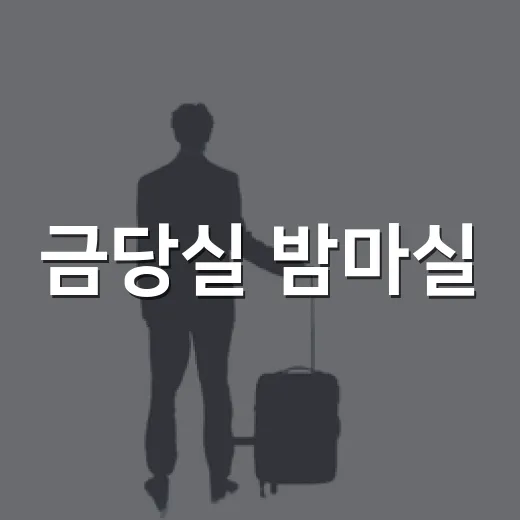 금당실 밤마실, 예천축제의 낭만