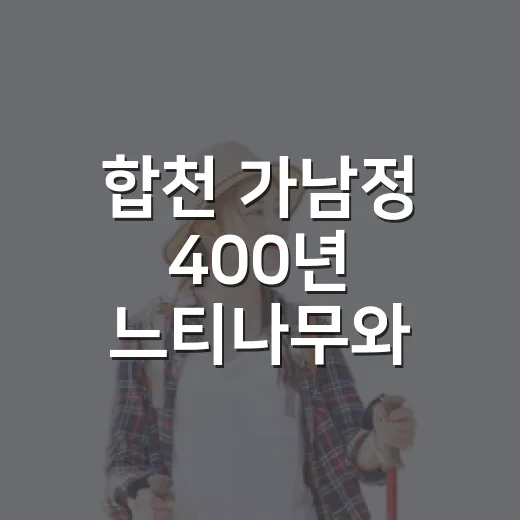 합천 가남정 400년 느티나무와 힐링 산책