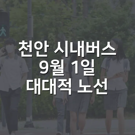 천안 시내버스 9월 1일 대대적 노선 조정