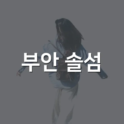 부안 솔섬, 갯벌과 지질공원 하루 코스 추천