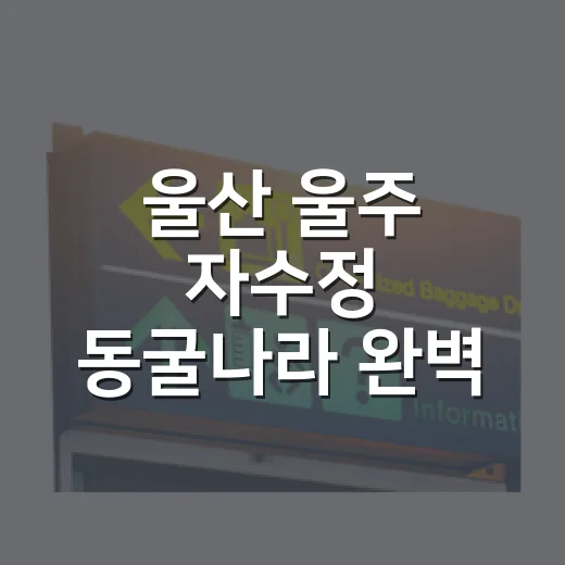울산 울주 자수정 동굴나라 완벽 가이드