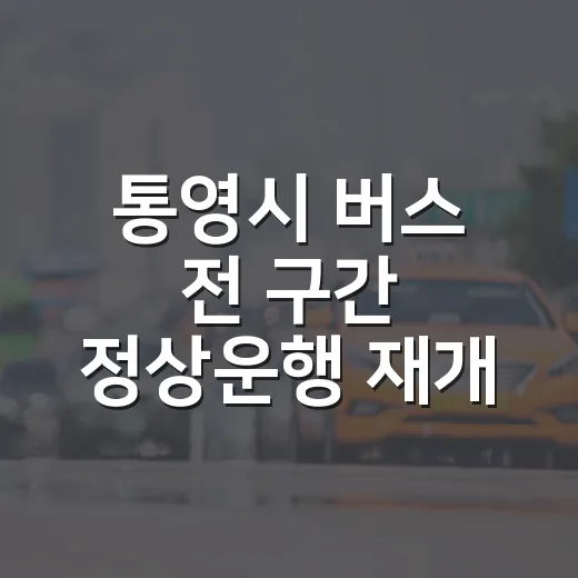 통영시 버스 전 구간 정상운행 재개