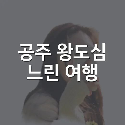 공주 왕도심 느린 여행, 제민천 따라 쉼의 여정