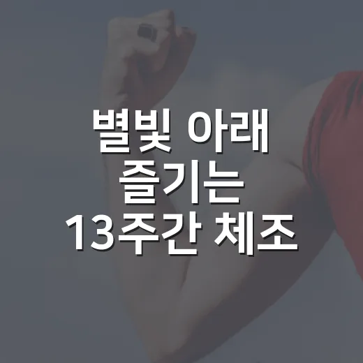 별빛 아래 즐기는 13주간 체조 프로그램
