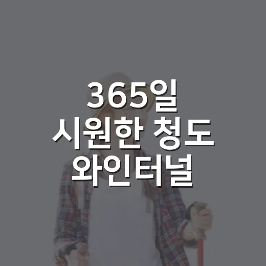 365일 시원한 청도 와인터널