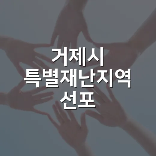 거제시 특별재난지역 선포, 신속 복구 지원 시작