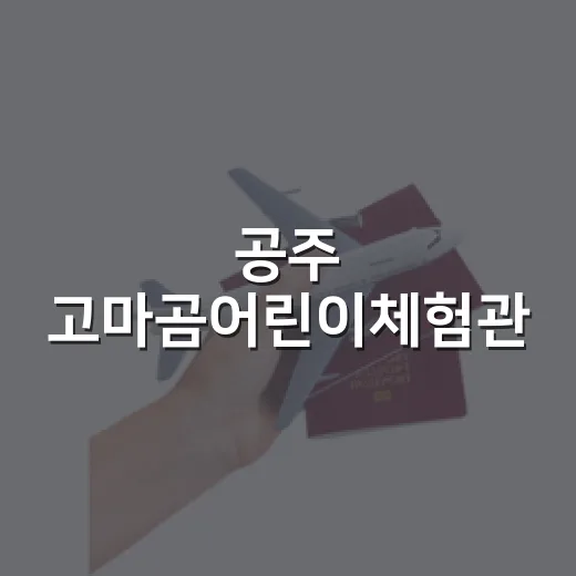 공주 고마곰어린이체험관, 시원한 실내 백제 역사 체험