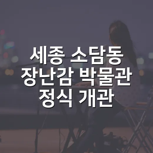 세종 소담동 장난감 박물관 정식 개관 축제 현장