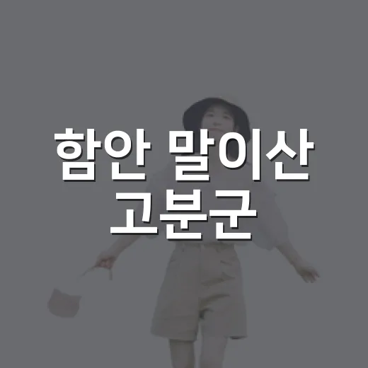 함안 말이산 고분군, 달빛 아래 고즈넉한 야경 산책