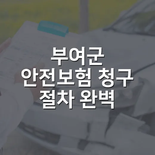 부여군 안전보험 청구 절차 완벽 안내