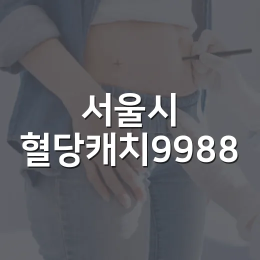 서울시 혈당캐치9988, 당뇨 전단계 시민 1000명 지원