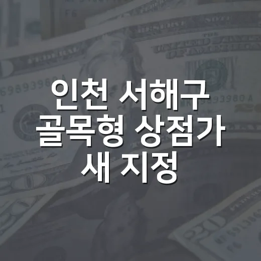 인천 서해구 골목형 상점가 새 지정 현장