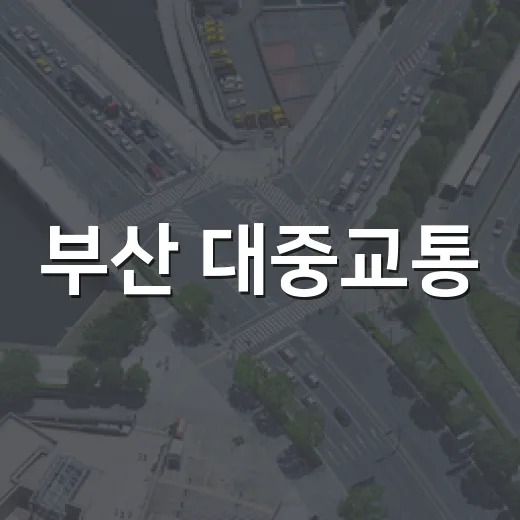 부산 대중교통, 태그리스로 편리한 자동결제 시대