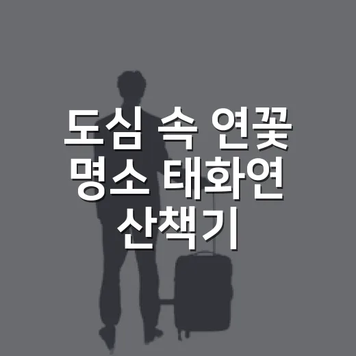 도심 속 연꽃 명소 태화연 산책기