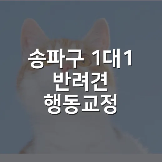 송파구 1대1 반려견 행동교정 아카데미