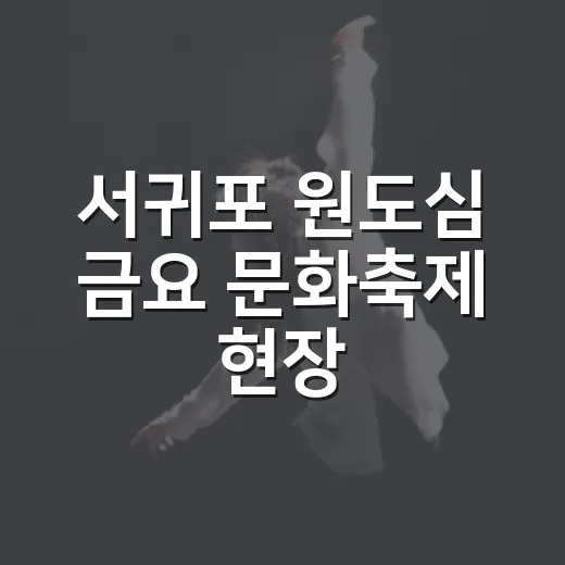 서귀포 원도심 금요 문화축제 현장