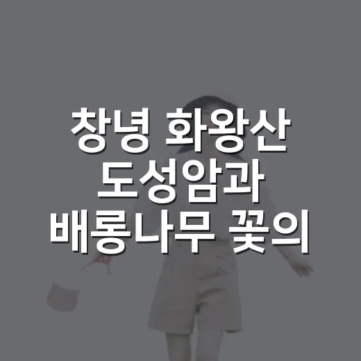 창녕 화왕산 도성암과 배롱나무 꽃의 조화
