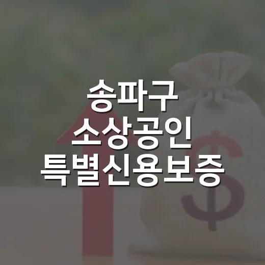 송파구 소상공인 특별신용보증 200억 지원