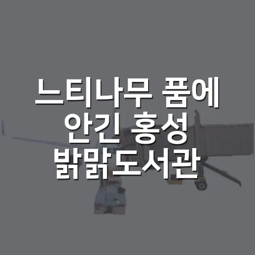 느티나무 품에 안긴 홍성 밝맑도서관