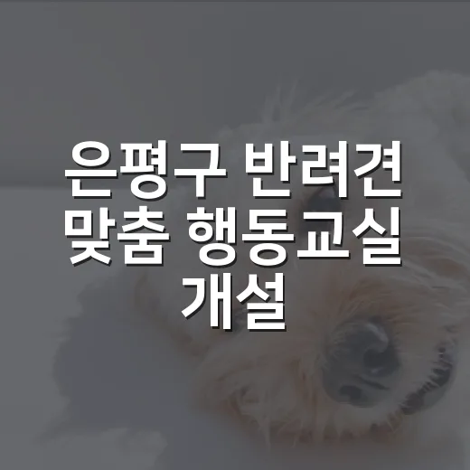 은평구 반려견 맞춤 행동교실 개설