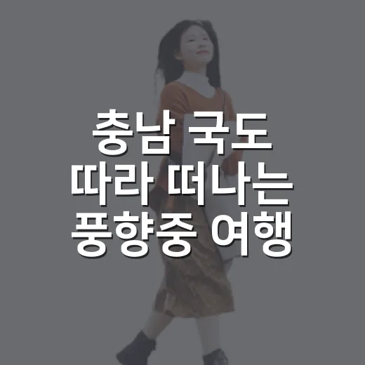 충남 국도 따라 떠나는 풍향중 여행