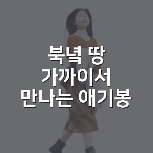 북녘 땅 가까이서 만나는 애기봉 평화생태공원