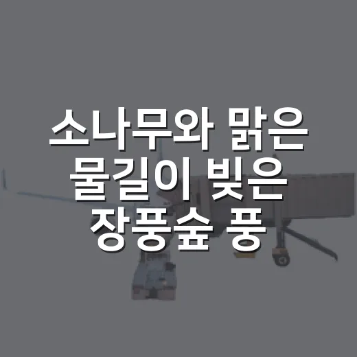 소나무와 맑은 물길이 빚은 장풍숲 풍경