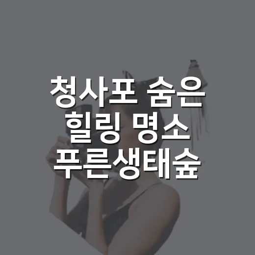청사포 숨은 힐링 명소 푸른생태숲