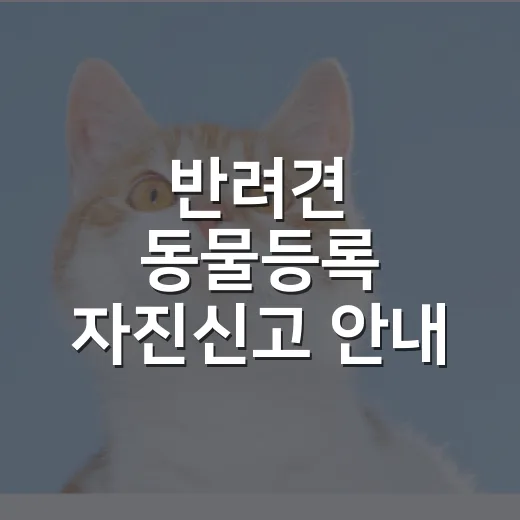 반려견 동물등록 자진신고 안내