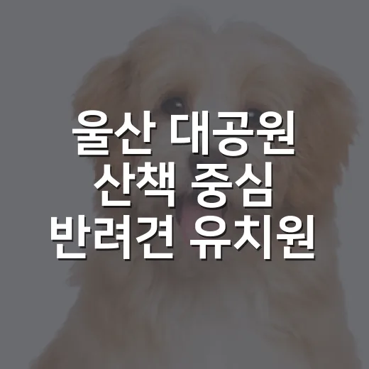 울산 대공원 산책 중심 반려견 유치원 포마이독