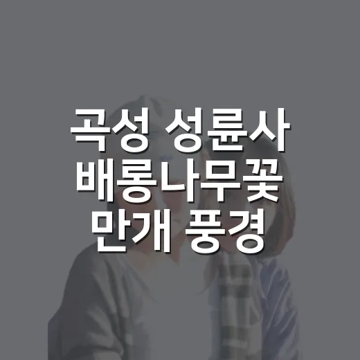곡성 성륜사 배롱나무꽃 만개 풍경