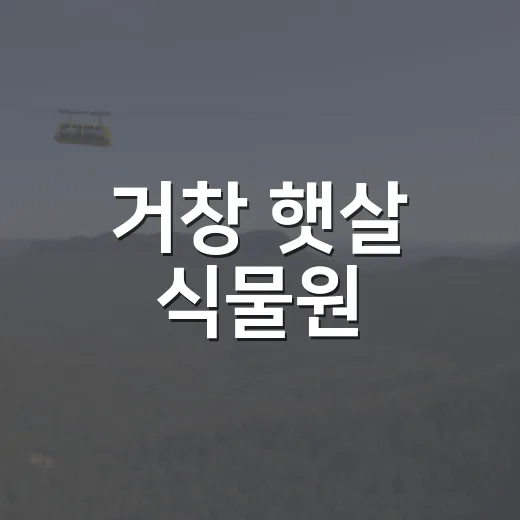 거창 햇살 식물원, 초보도 편한 식물가게