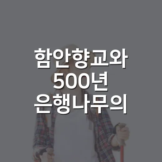 함안향교와 500년 은행나무의 역사 산책