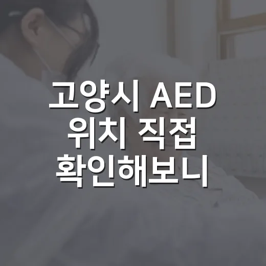 고양시 AED 위치 직접 확인해보니
