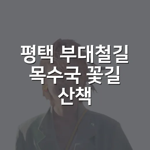 평택 부대철길 목수국 꽃길 산책