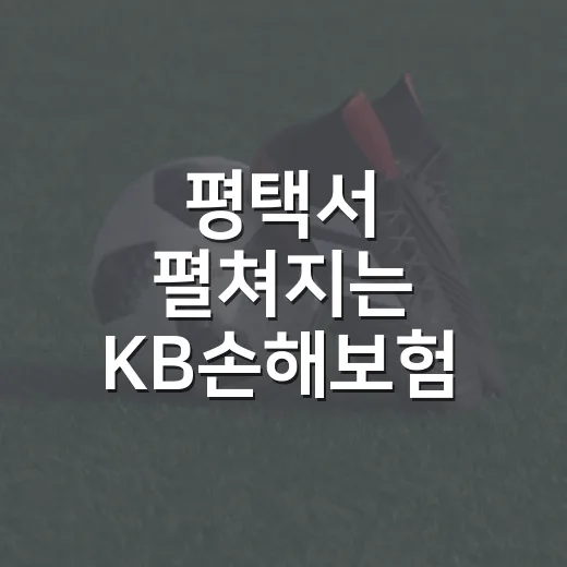 평택서 펼쳐지는 KB손해보험 스타즈 홈경기
