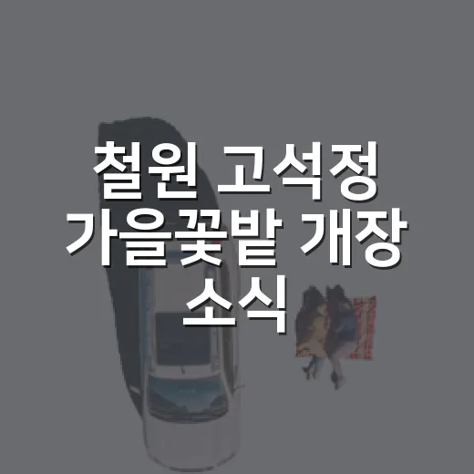 철원 고석정 가을꽃밭 개장 소식