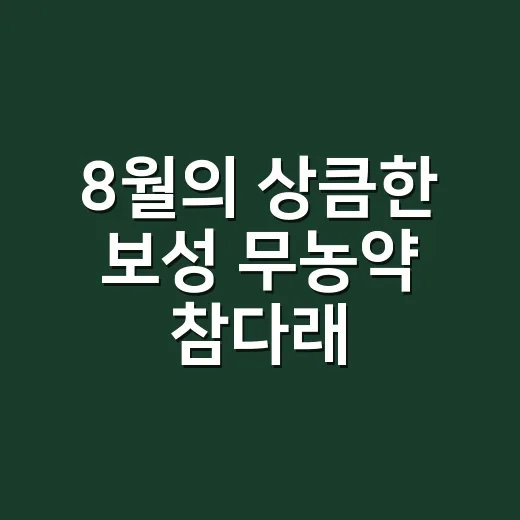 8월의 상큼한 보성 무농약 참다래