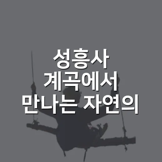 성흥사 계곡에서 만나는 자연의 평화