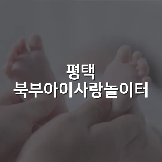평택 북부아이사랑놀이터, 아이와 부모 위한 맞춤 공간