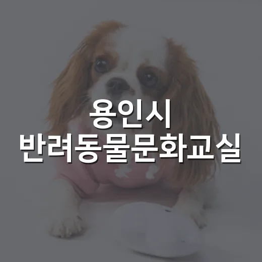 용인시 반려동물문화교실, 반려인과 반려견의 행복한 동행