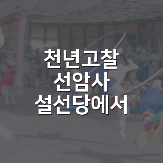 천년고찰 선암사 설선당에서 만나는 가을 감성